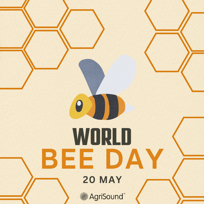 Buzzing with Purpose: Celebrating World Bee Day