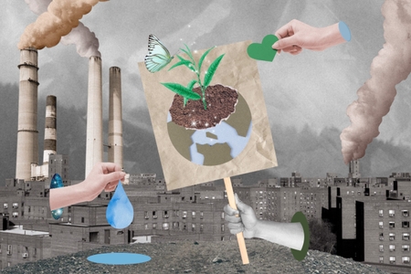 The impact of COP28 on biodiversity: What you need to know 