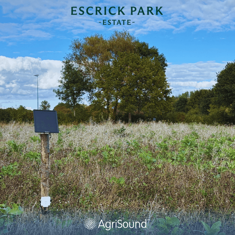 Yorkshire’s Escrick Park Estate launches smart tech pilot to advance biodiversity