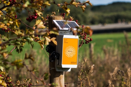 Cranswick install ground-breaking insect listening devices on pig farms to help increase biodiversity