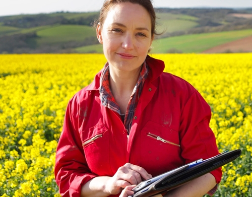 Corporate Sustainability 