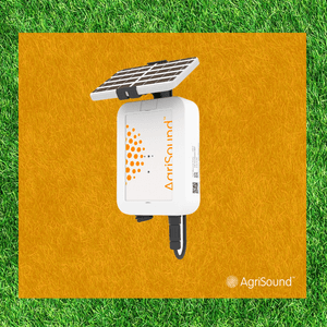 Introducing Polly 2.0